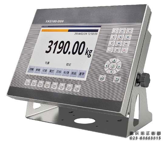 XK3190-DS9数字仪表